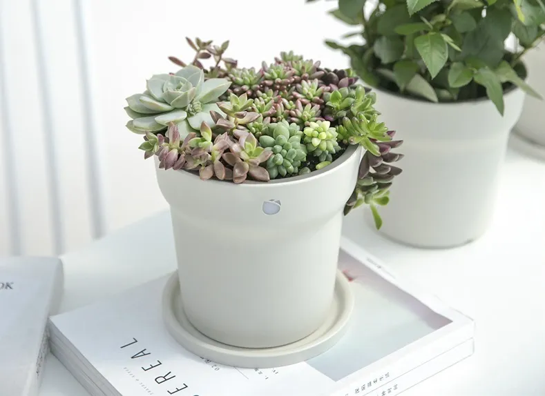 ROPOT 花花草草智能花盆