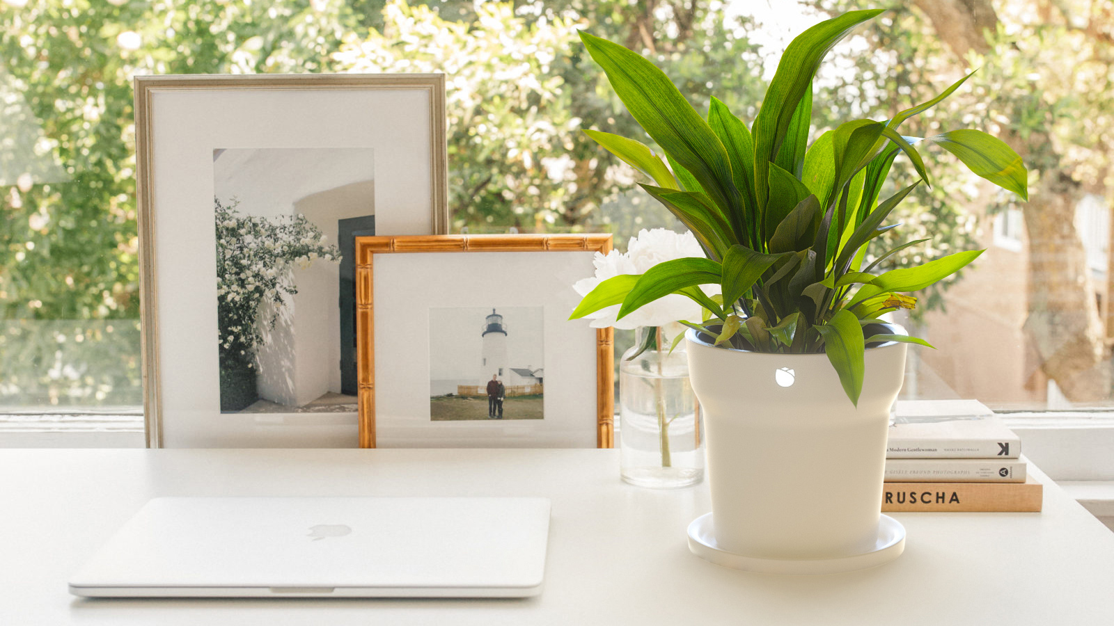 ROPOT 花花草草智能花盆